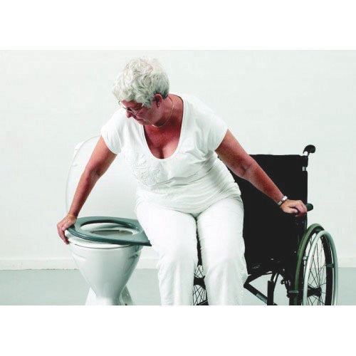 Transfer Sitting Etac Dolphin Toilet Transfer Board - Wheelchair Australia